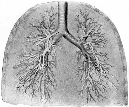 Fig. 10 Fig. 10