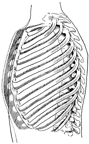 Fig. 12 Fig. 12