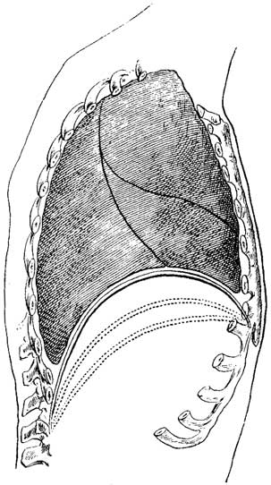 Fig. 13 Fig. 13