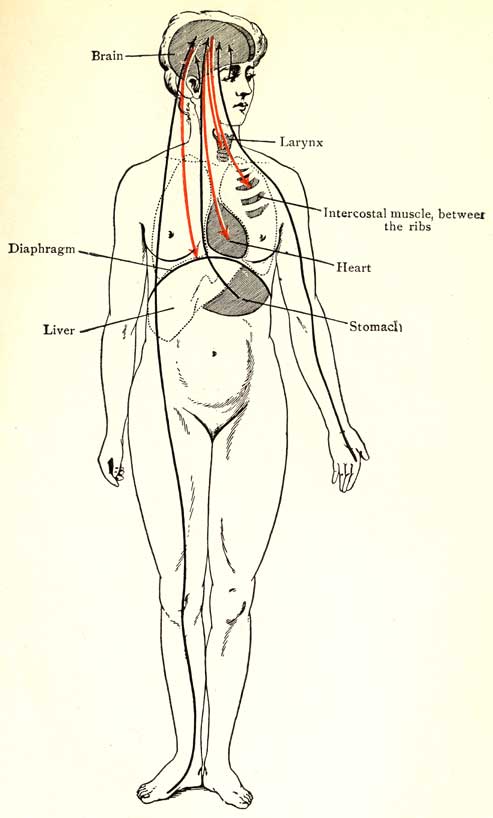 Fig. 15 Fig. 15