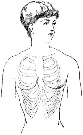 Fig. 17 Fig. 17