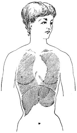 Fig. 19 Fig. 19