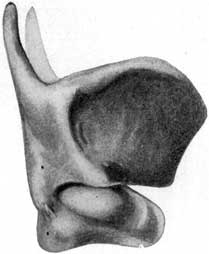 Fig. 20 Fig. 20