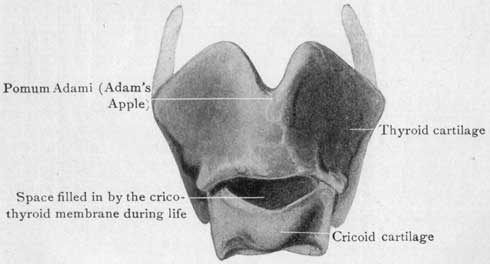 Fig. 21 Fig. 21