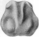 Fig. 22 Fig. 22