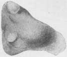 Fig. 23 Fig. 23
