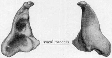 Fig. 24 Fig. 24