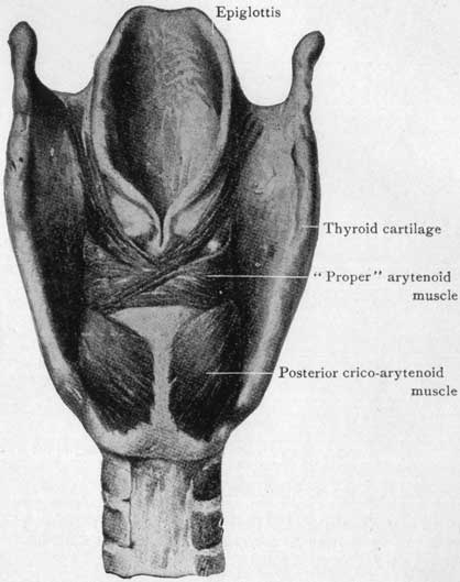 Fig. 25 Fig. 25