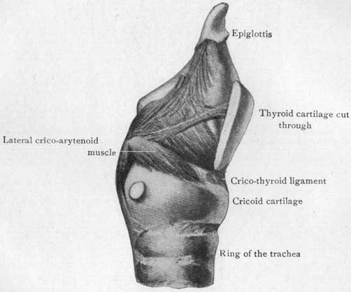 Fig. 26 Fig. 26