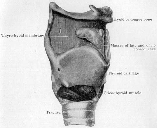 Fig. 27 Fig. 27