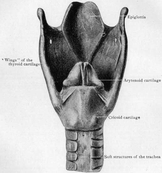 Fig. 28 Fig. 28