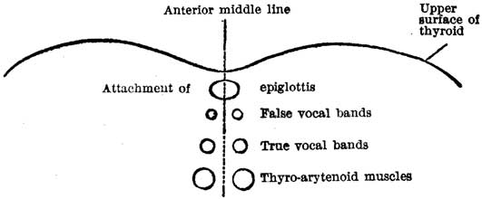 Fig. 29 Fig. 29