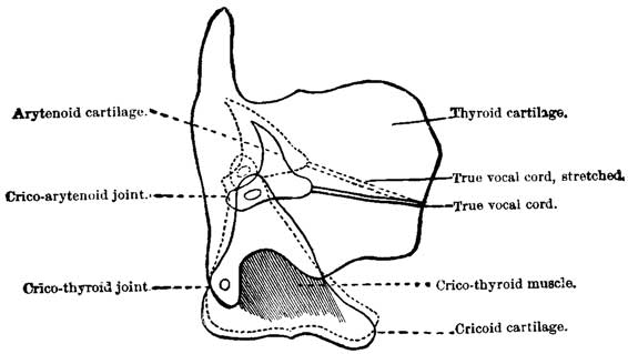 Fig. 30 Fig. 30