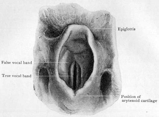 Fig. 31 Fig. 31