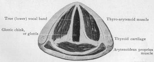 Fig. 32 Fig. 32