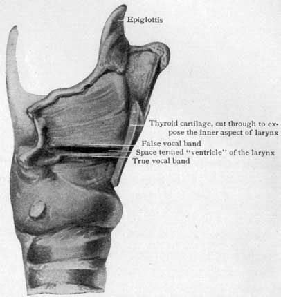 Fig. 33 Fig. 33