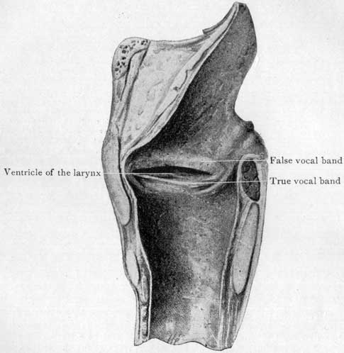 Fig. 34 Fig. 34