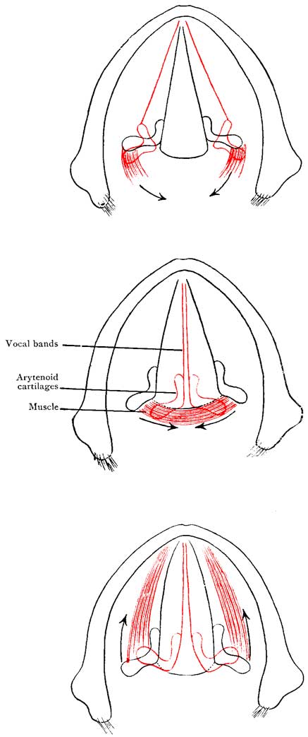 Fig. 35 Fig. 35