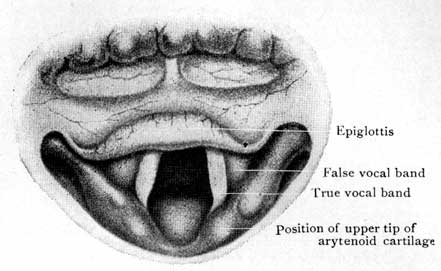 Fig. 40 Fig. 40
