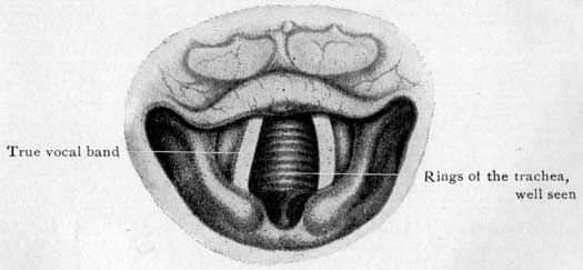 Fig. 41 Fig. 41