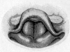 Fig. 42 Fig. 42