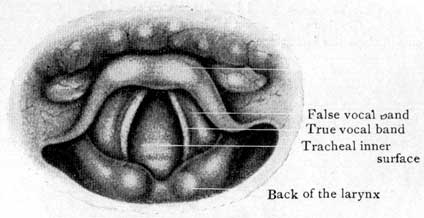 Fig. 43 Fig. 43