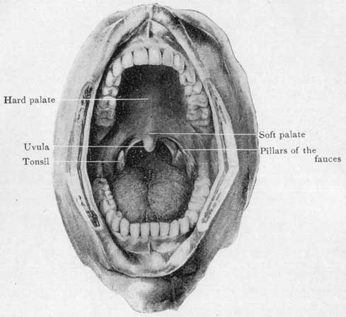 Fig. 47 Fig. 47