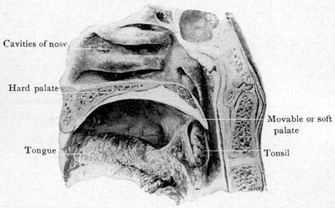 Fig. 49 Fig. 49
