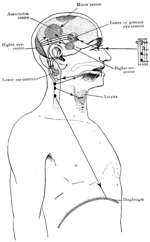 Fig. 53 Fig. 53