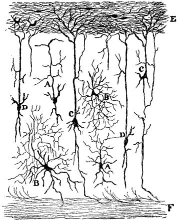 Fig. 54 Fig. 54