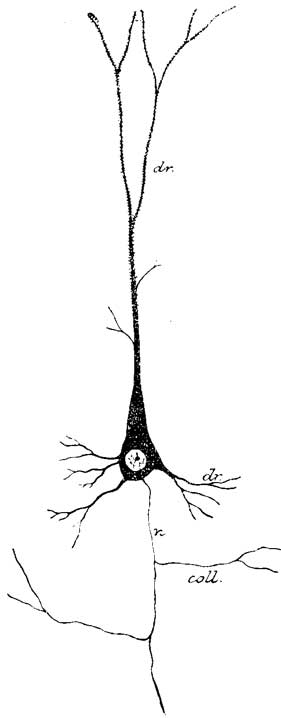 Fig. 55 Fig. 55