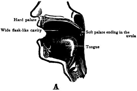 Fig. 56 Fig. 56