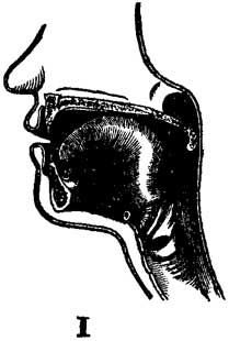 Fig. 57 Fig. 57