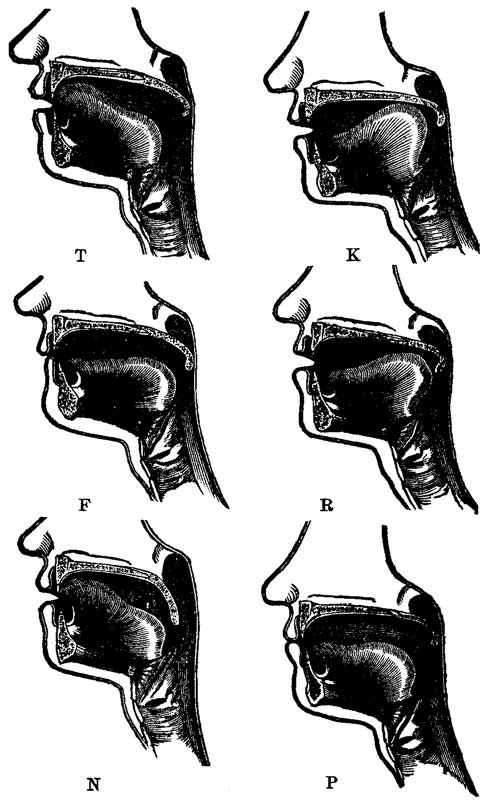 Fig. 59 Fig. 59