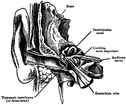 Fig. 60 Fig. 60