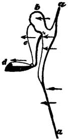 Fig. 63 Fig. 63