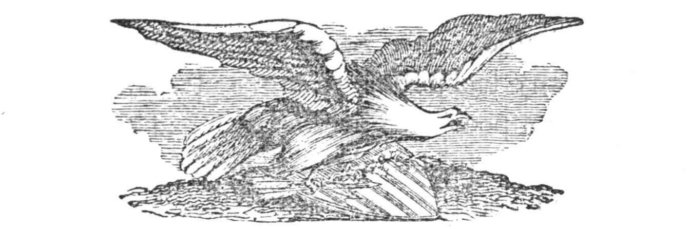 Advertisement with eagle graphic