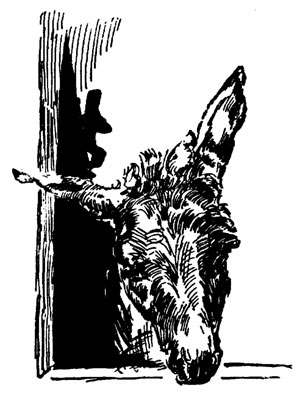 illus238 illus238