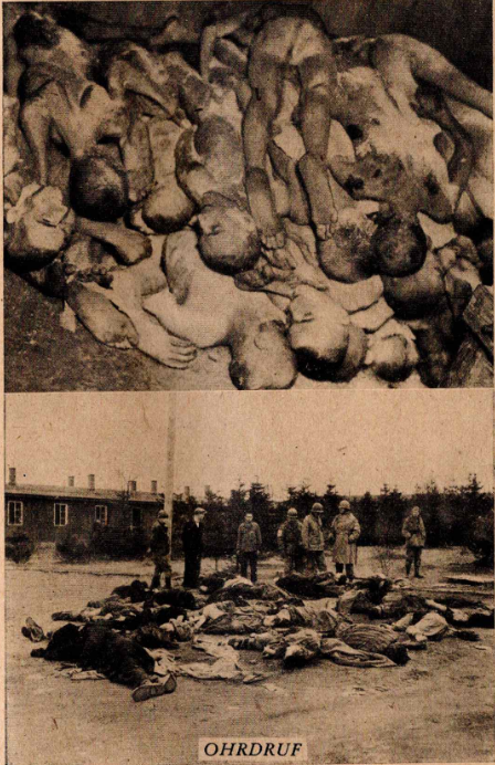 Piles of bodies at Ohrdruf concentration camp