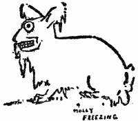 Molly Freezing
