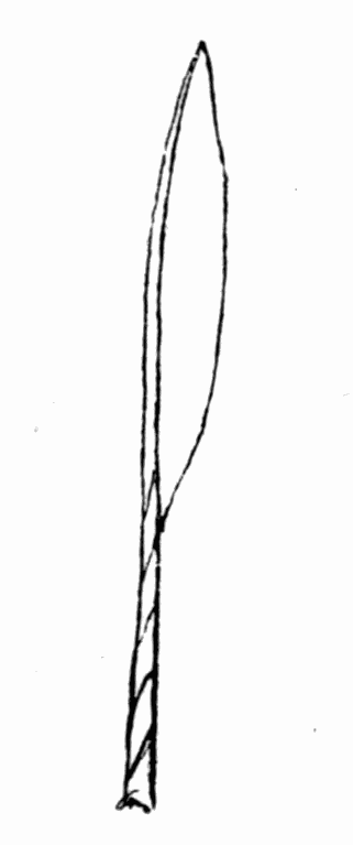 Fig 10. Cleaning apparatus of bee