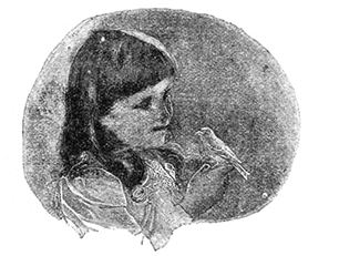 CHILD AND PET BIRD