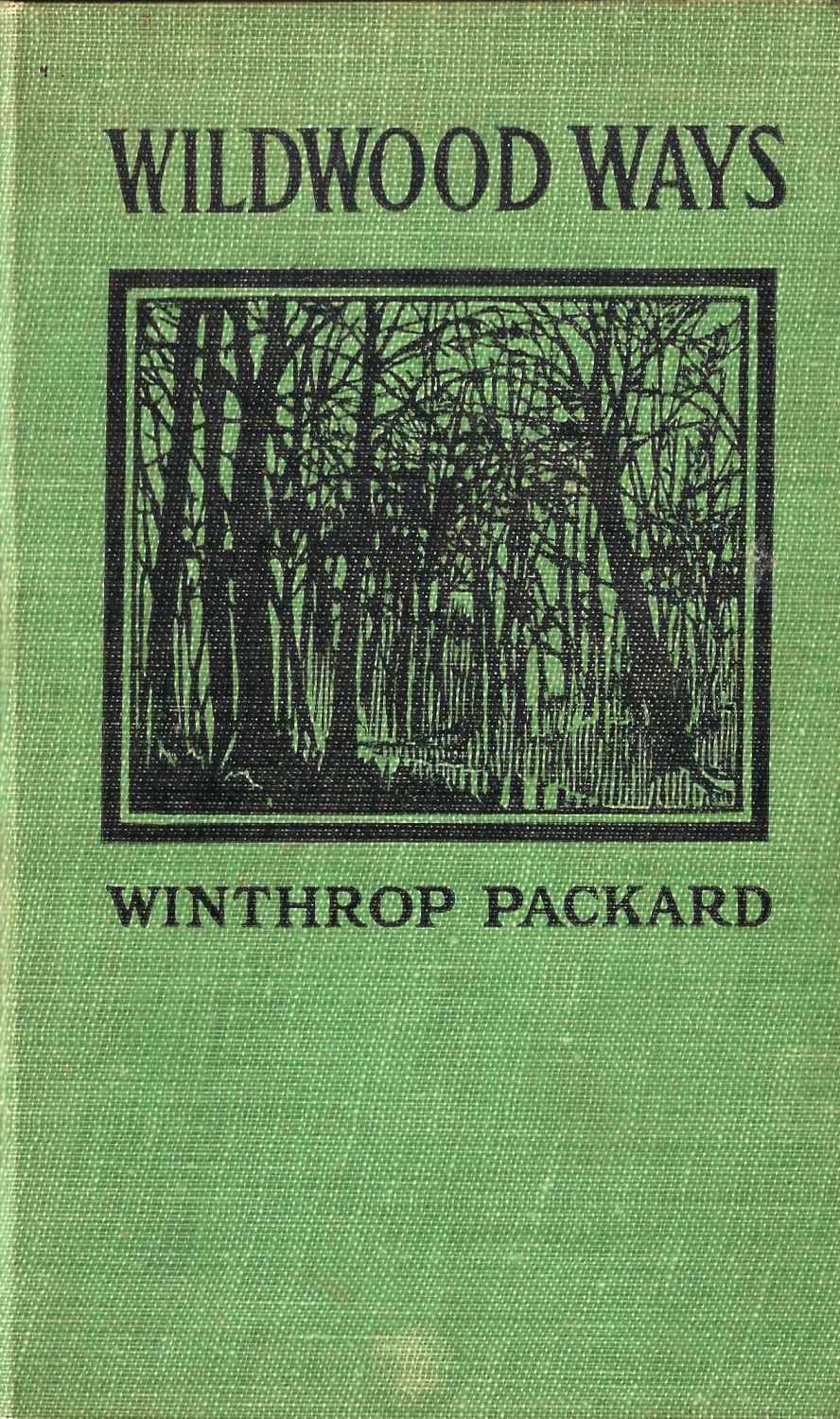 [Image of the book's cover unavailable.]