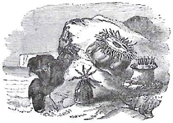 image010