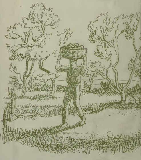 0002m