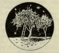 0049m