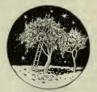 0115m