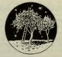 0269m