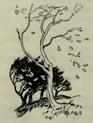0278m