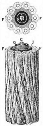 A submarine telegraph cable — shown in cross-section and perspective, with a central copper core (C), gutta-percha insulation (G, J), and outer steel wire armour strands (F) — as used in transatlantic cable laying from the 1850s onwards.